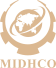 فولاد زرند ایرانیان